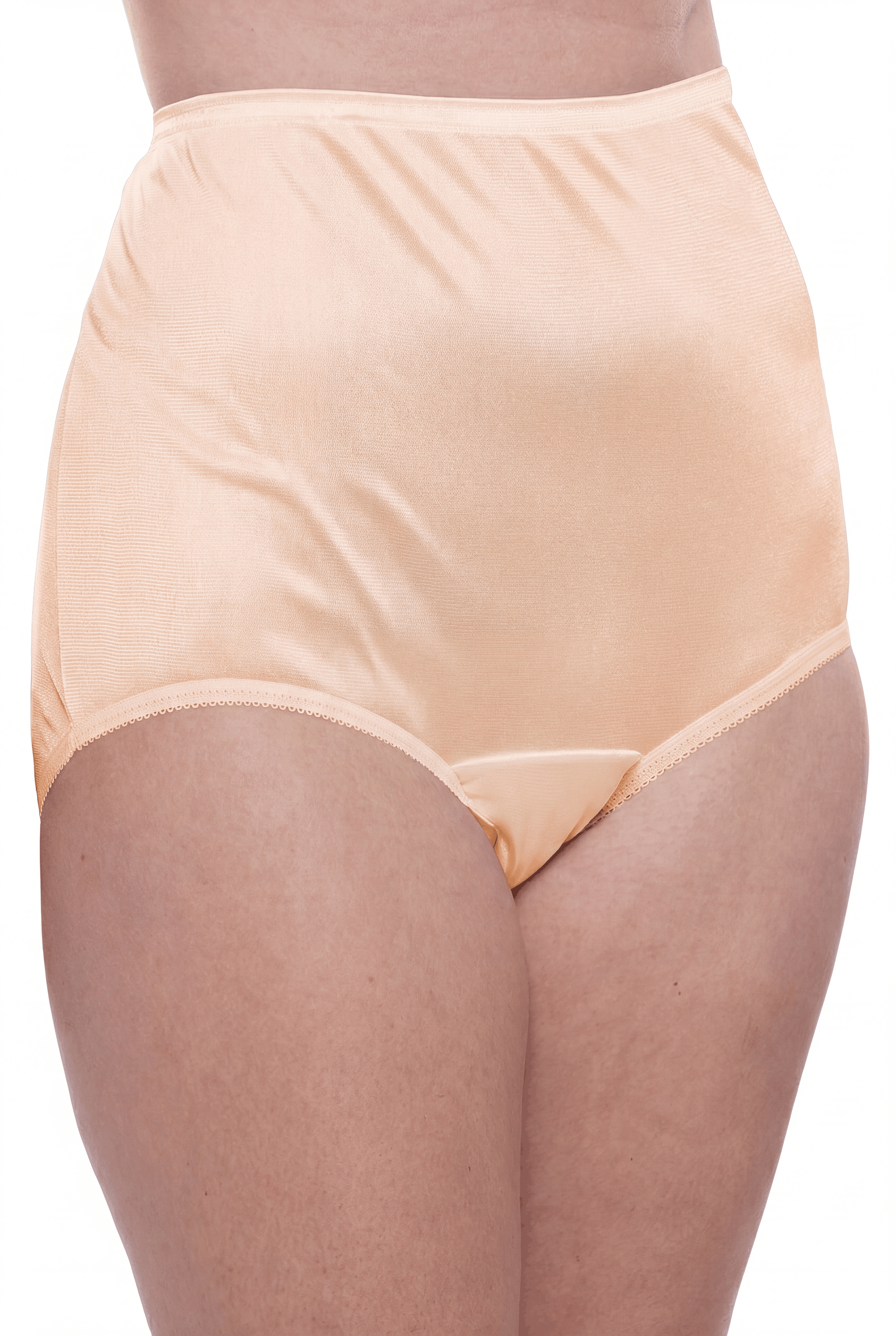 4 Pack Teri Lingerie Plain Jane Nylon Brief Panty
