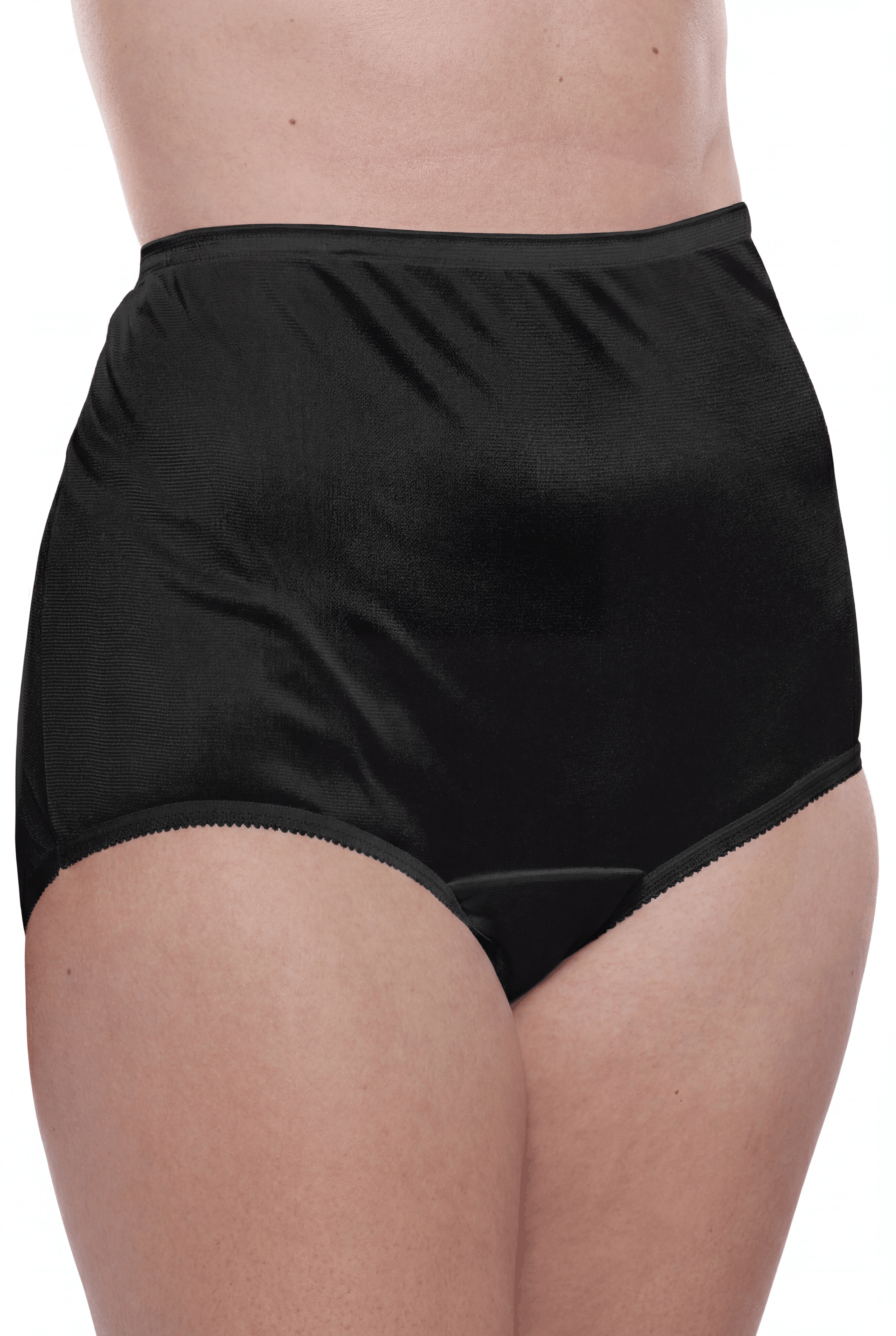 4 Pack Teri Lingerie Plain Jane Nylon Brief Panty