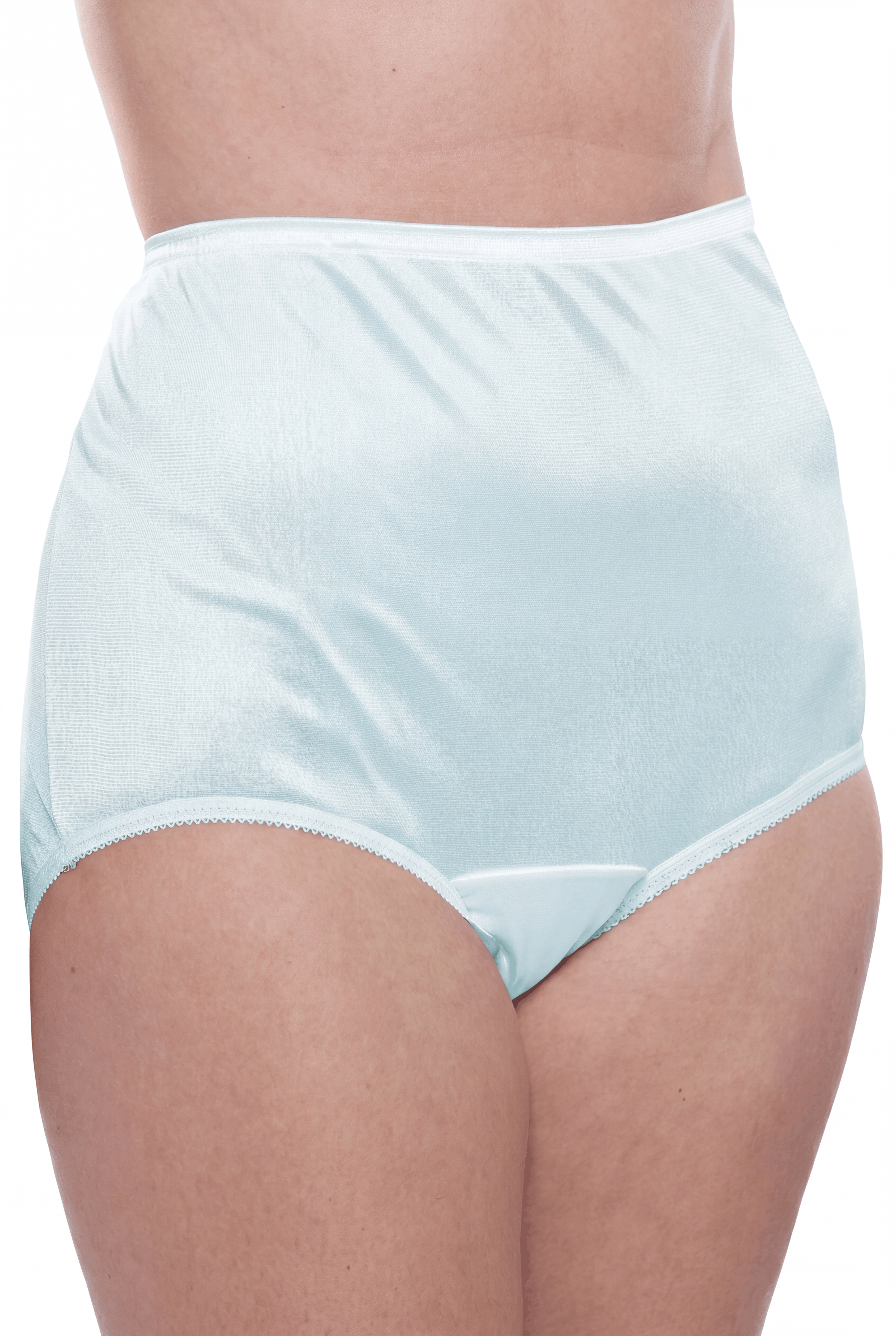 4 Pack Teri Lingerie Plain Jane Nylon Brief Panty