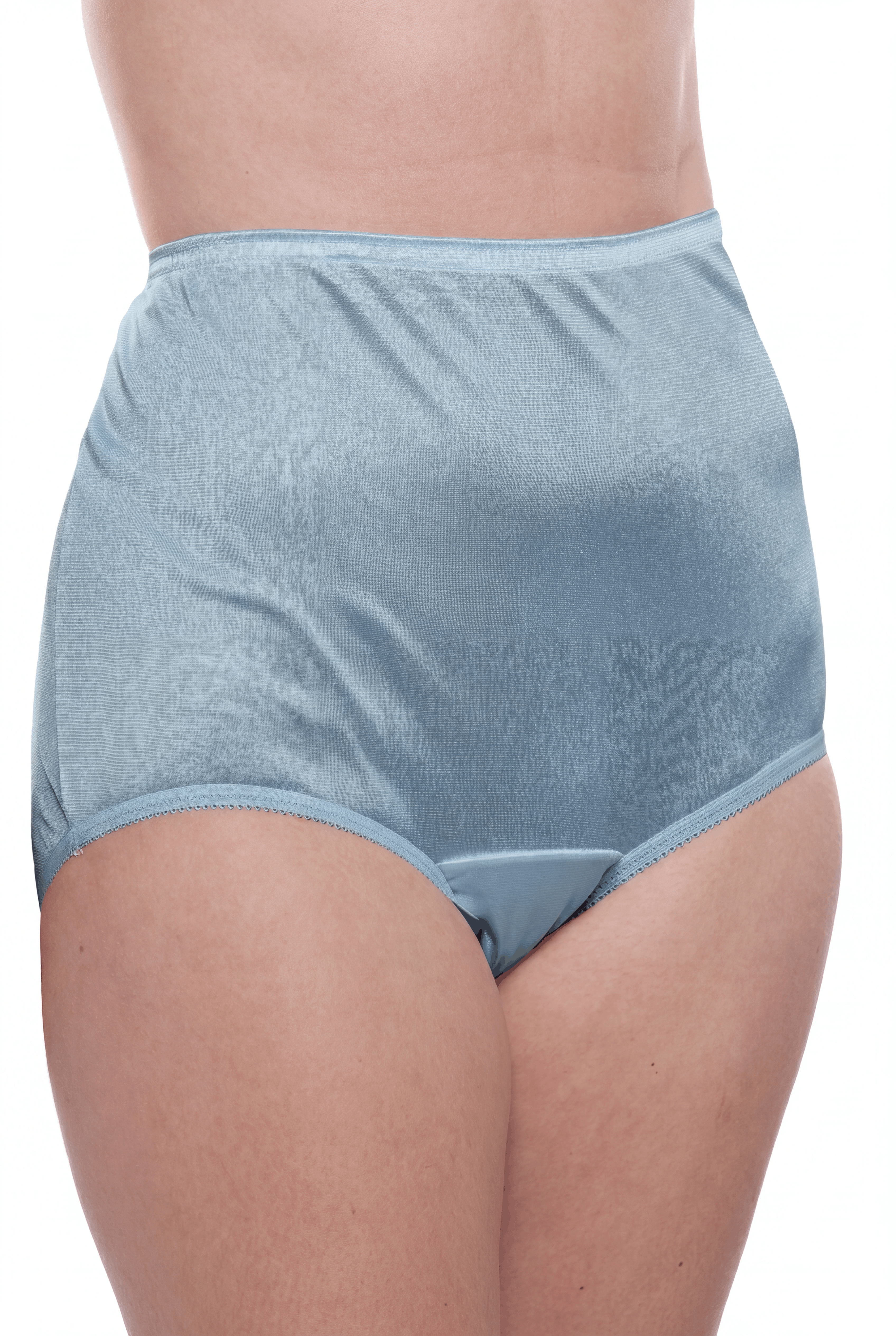 4 Pack Teri Lingerie Plain Jane Nylon Brief Panty
