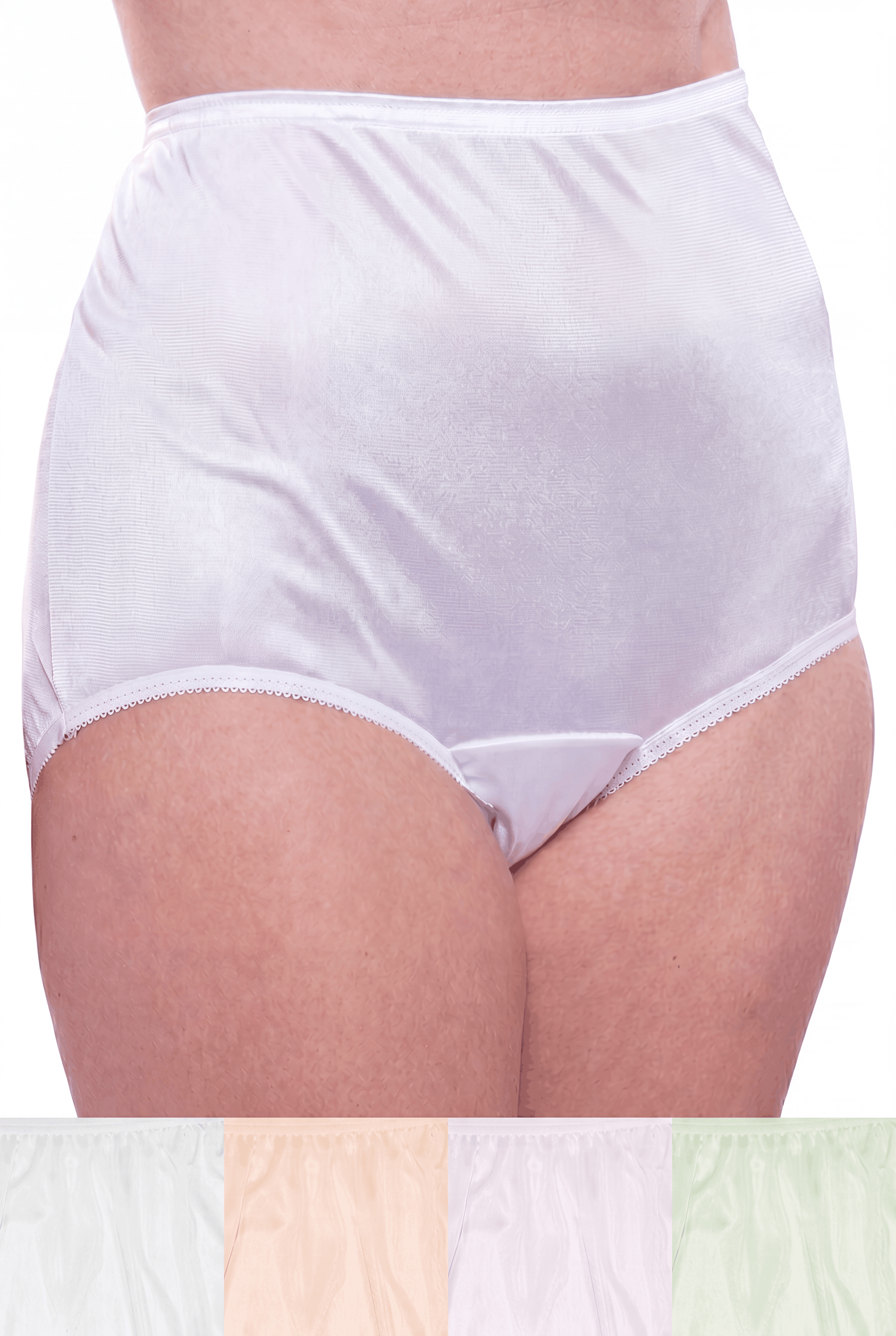 4 Pack Teri Lingerie Plain Jane Nylon Brief Panty