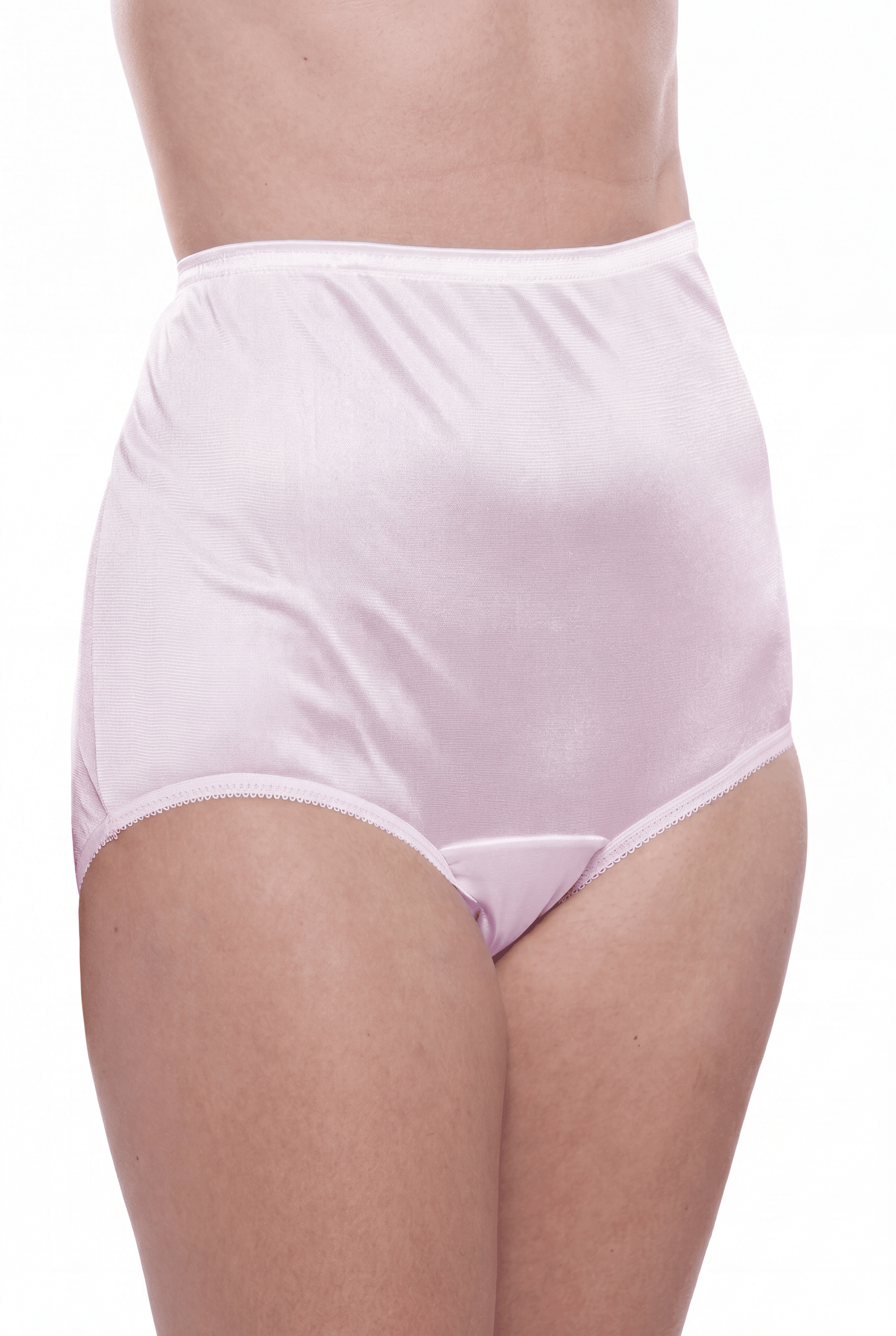 4 Pack Teri Lingerie Plain Jane Nylon Brief Panty