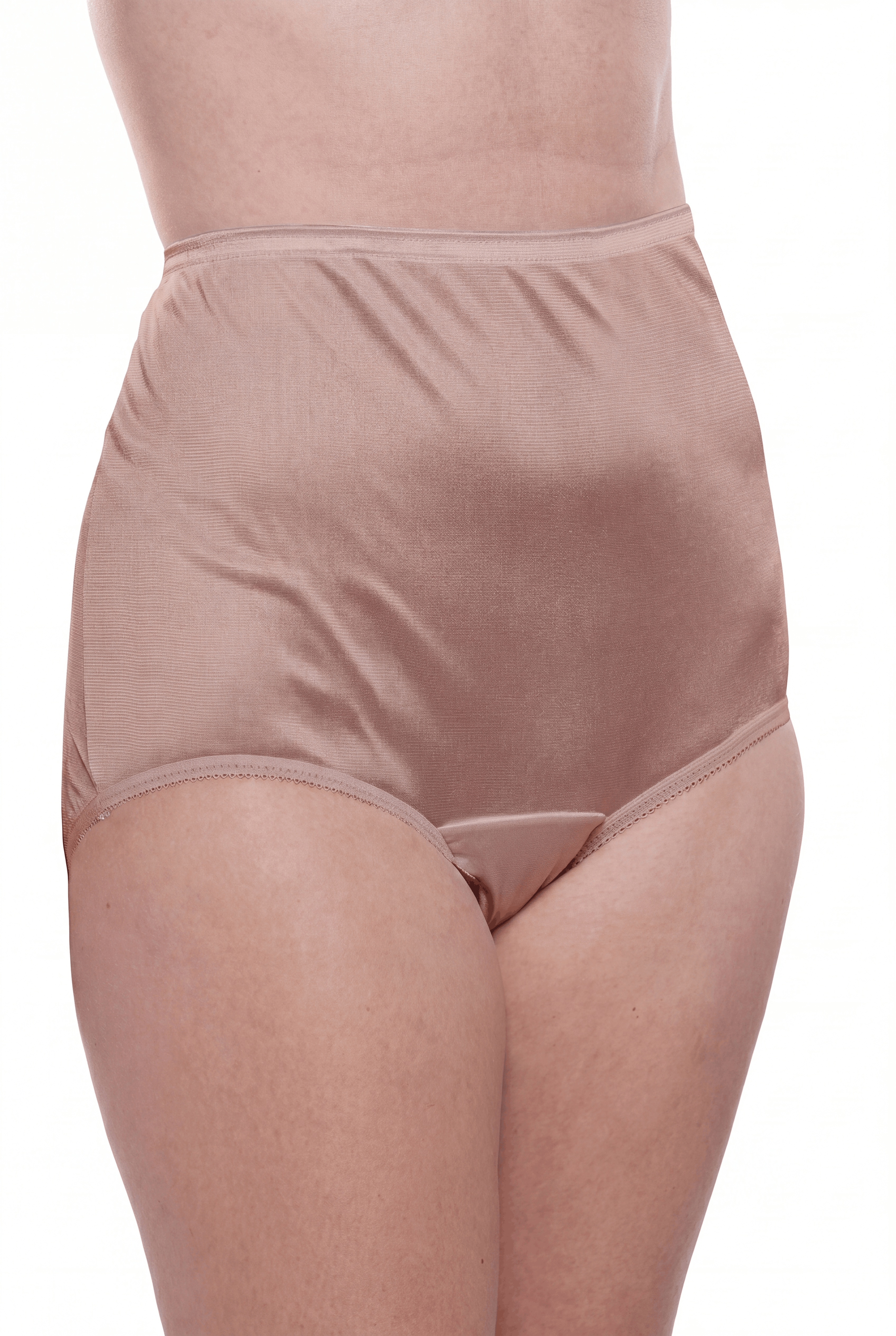 4 Pack Teri Lingerie Plain Jane Nylon Brief Panty