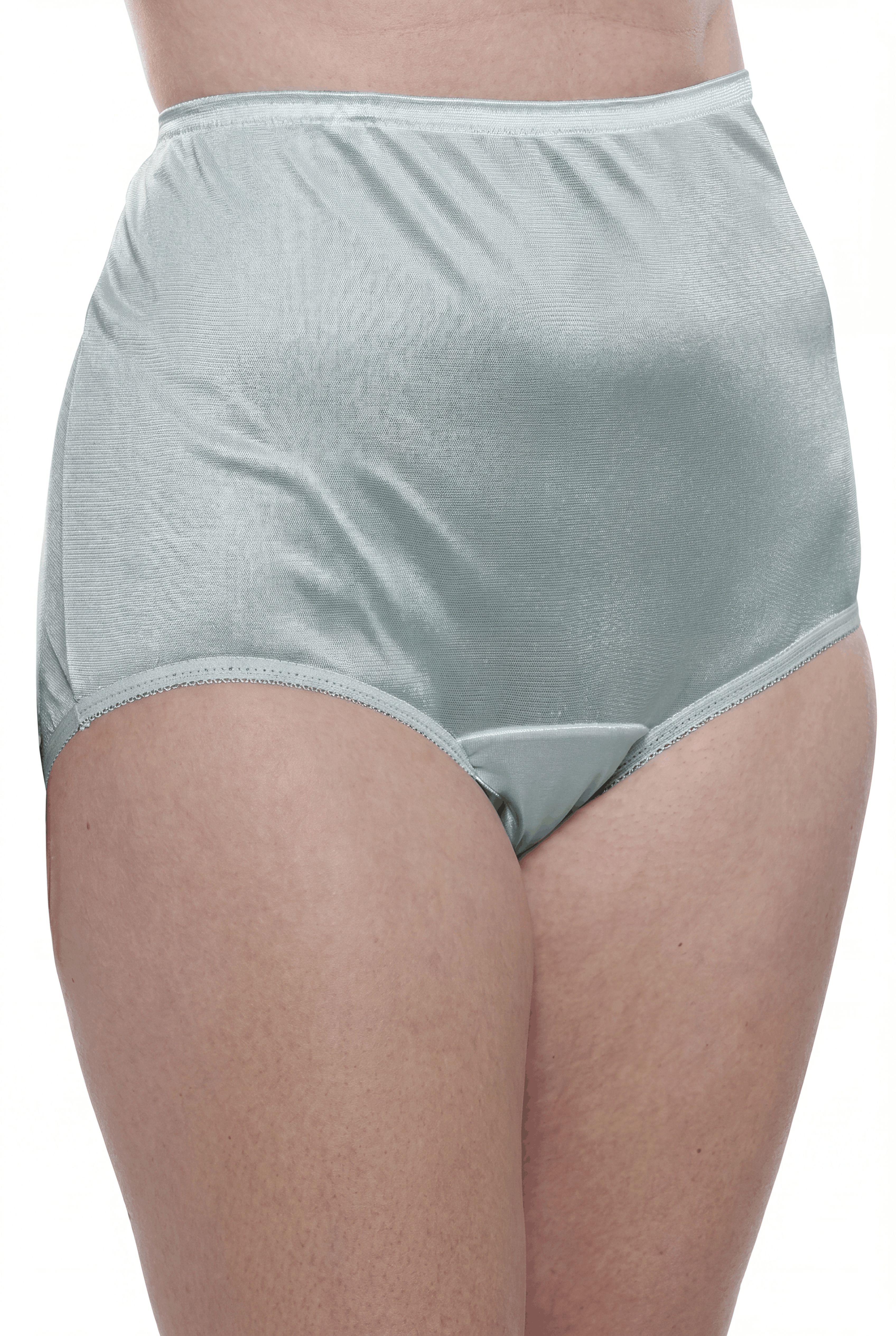 4 Pack Teri Lingerie Plain Jane Nylon Brief Panty