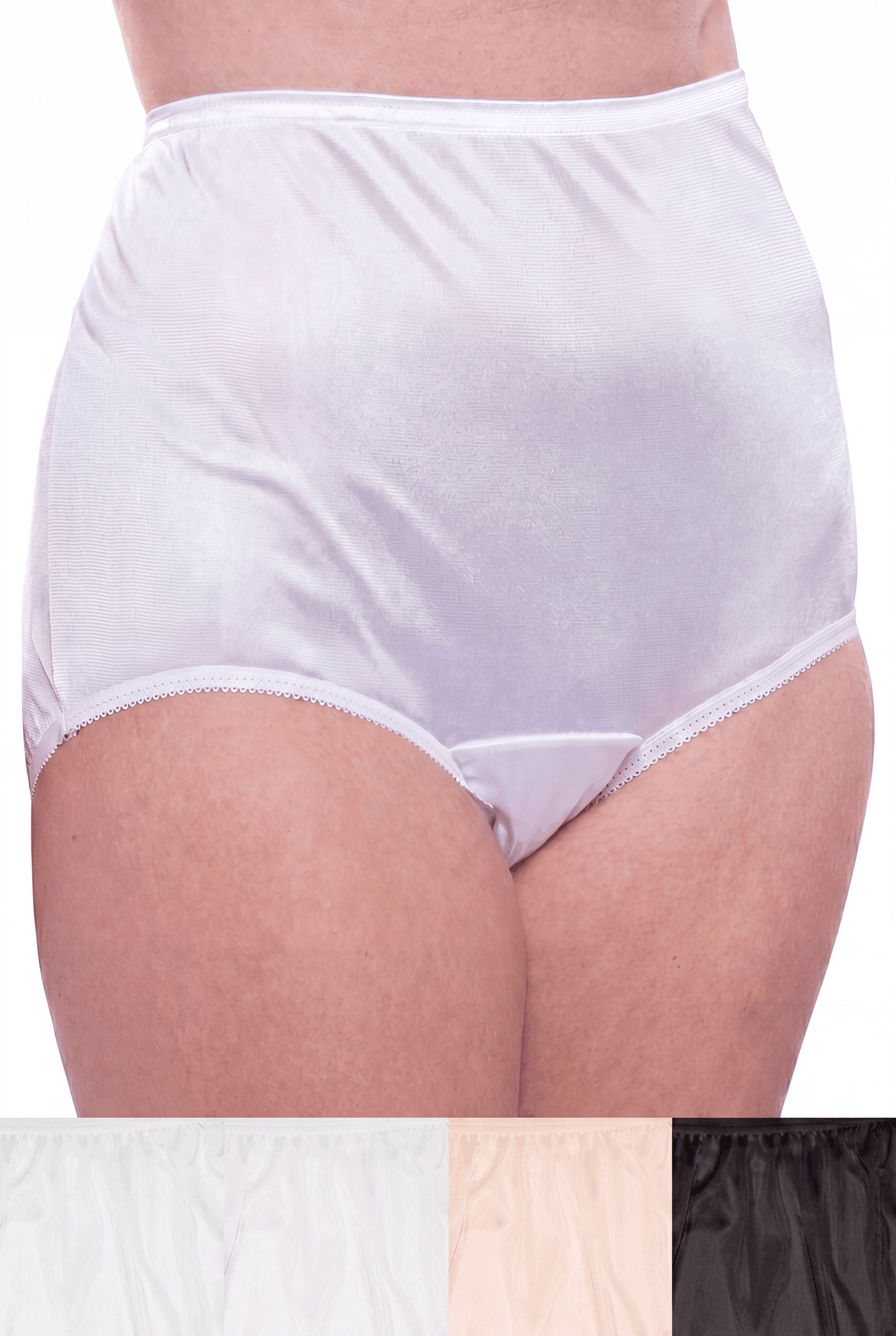 4 Pack Teri Lingerie Plain Jane Nylon Brief Panty