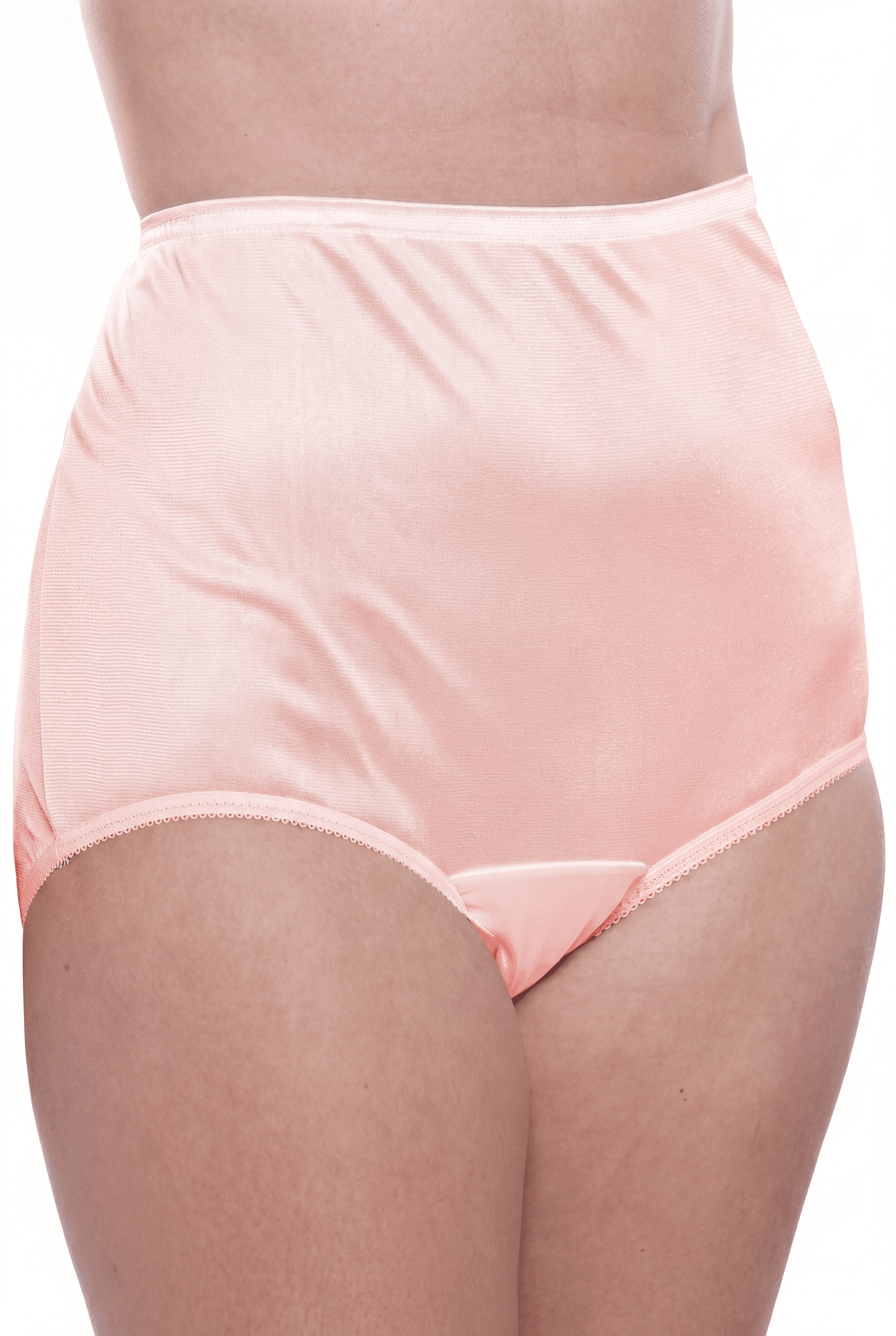 4 Pack Teri Lingerie Plain Jane Nylon Brief Panty