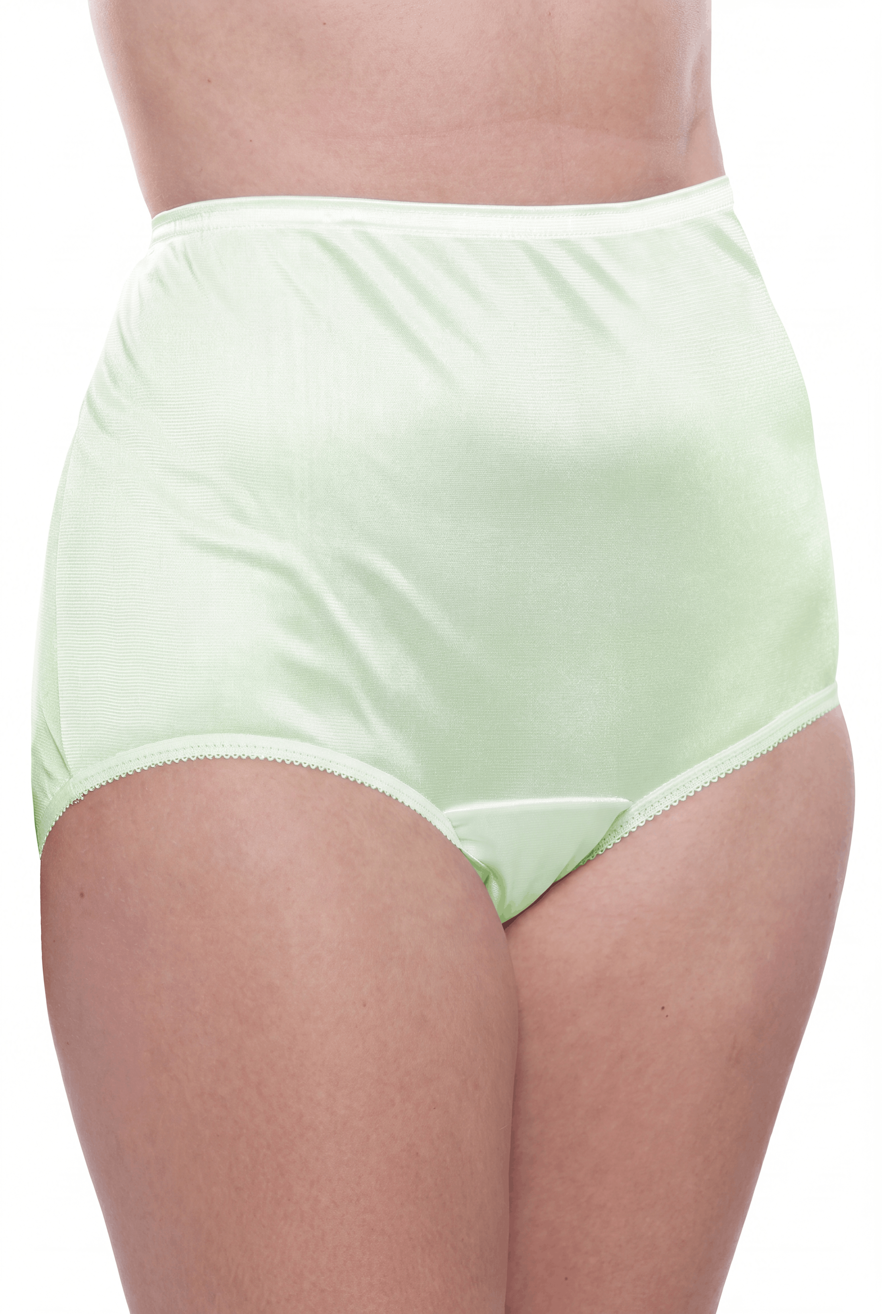 4 Pack Teri Lingerie Plain Jane Nylon Brief Panty