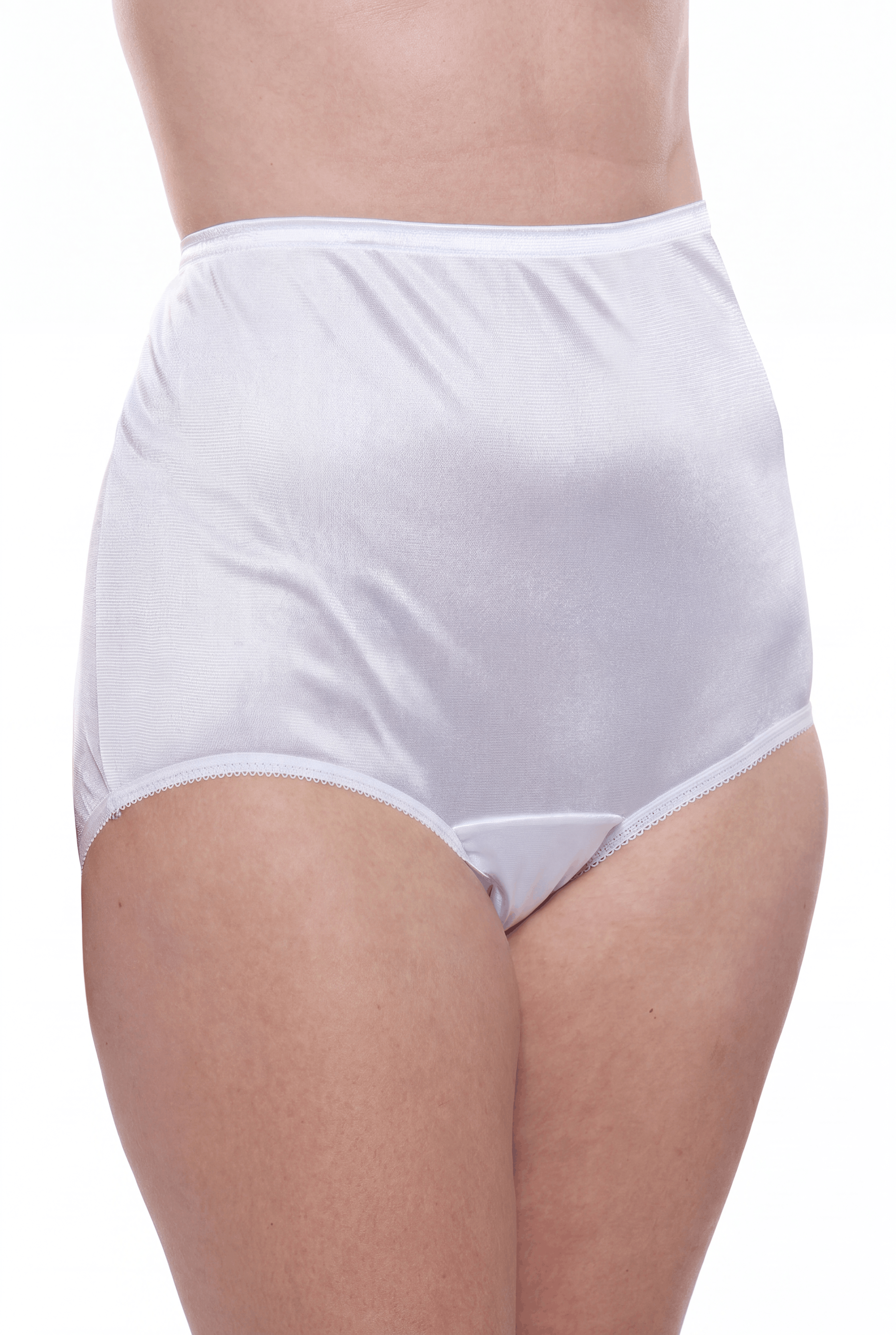 4 Pack Teri Lingerie Plain Jane Nylon Brief Panty