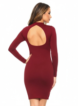 Long Sleeve Bodycon Mini Dress with Open Back