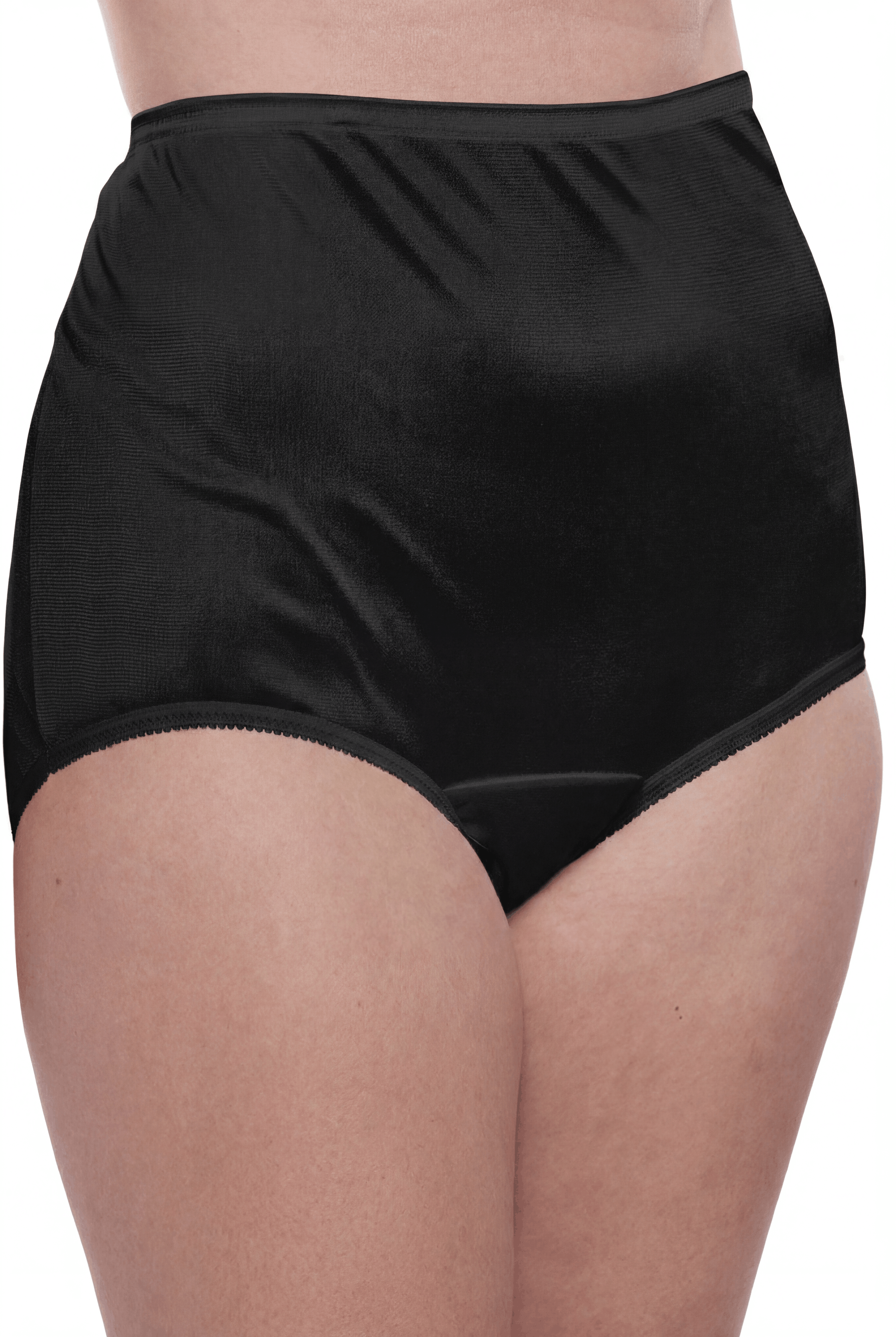 4 Pack Teri Lingerie Plain Jane Nylon Brief Panty